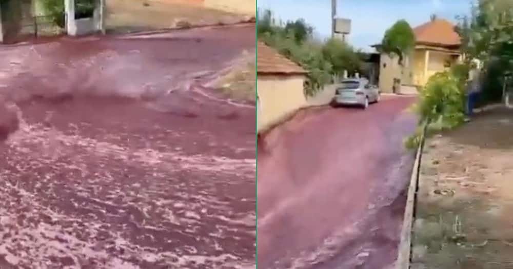 River of wine flowing on a street in Portugal