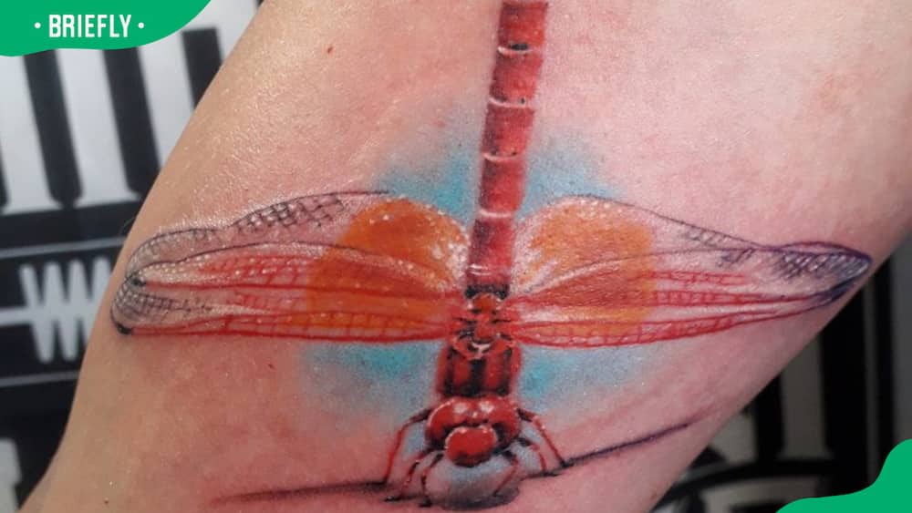 Colourful dragonfly tattoo