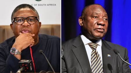 Presidency denies Minister of Transport Fikile Mbalula was kicked out of a Cabinet meeting by Ramaphosa