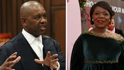 Advocate Dali Mpofu blasted for taking aim at Advocate Thuli Madonsela's appearance during heated argument