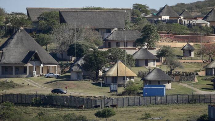 "Looks like a kraal": Woman throws major shade at Jacob Zuma and his Nkandla home