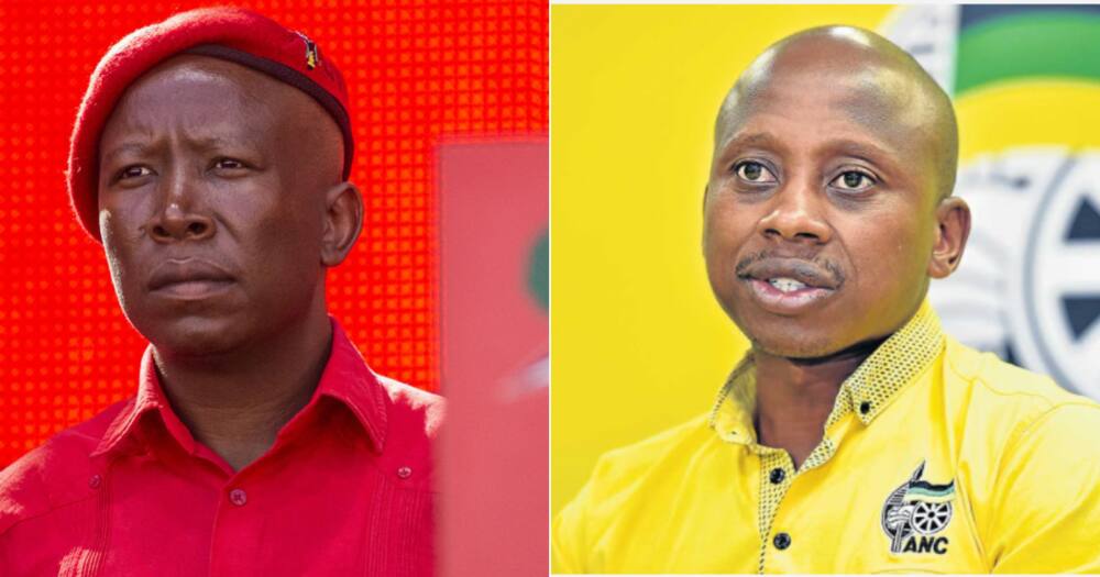 Julius Malema Feels for Disgraced Andile Lungisa After ...