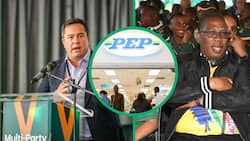 John Steenhuisen's Pep store diss in speech criticising Panyaza Lesufi's Panya Panya deployment backfires