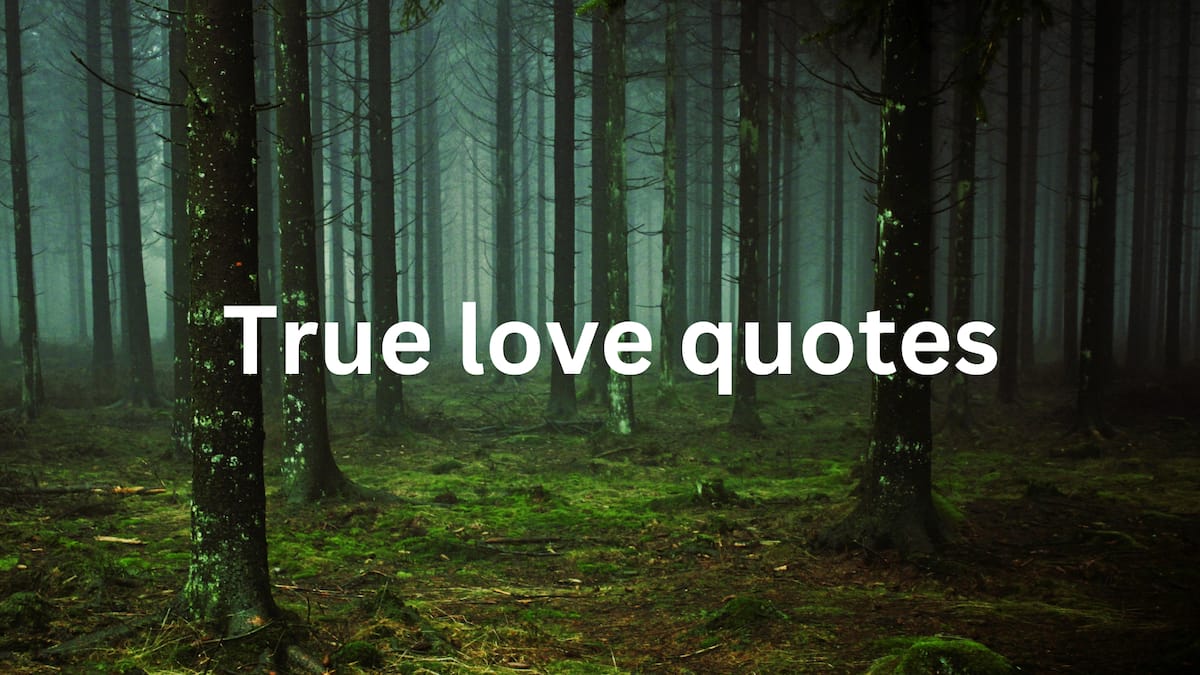 50+ True Love Quotes that will Touch Your Soul