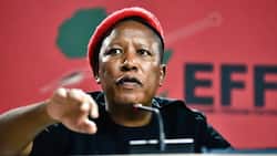 "Malema is way ahead in politics": South Africans weigh in on EFF Leader Julius Malema's 'Politics 101' class