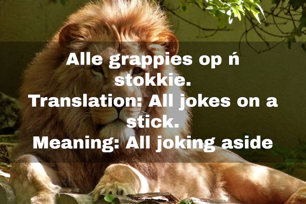 Afrikaans metaphors Afrikaans metaphors