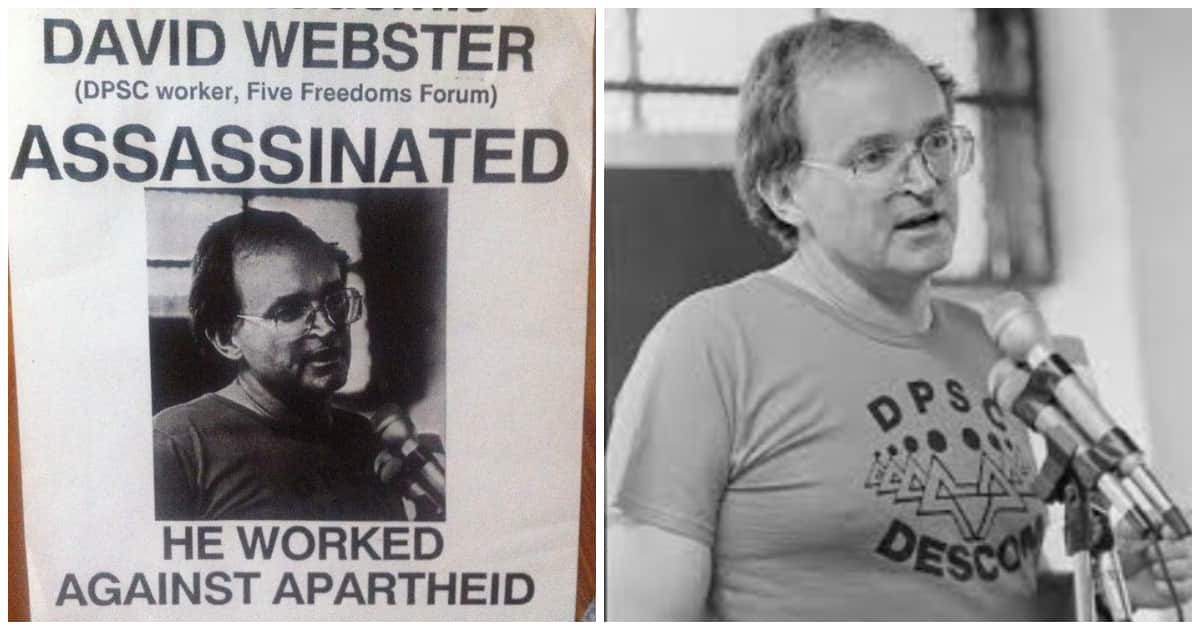 On this day: Activist Dr David Webster was assassinated in 1989 - Briefly.co.za