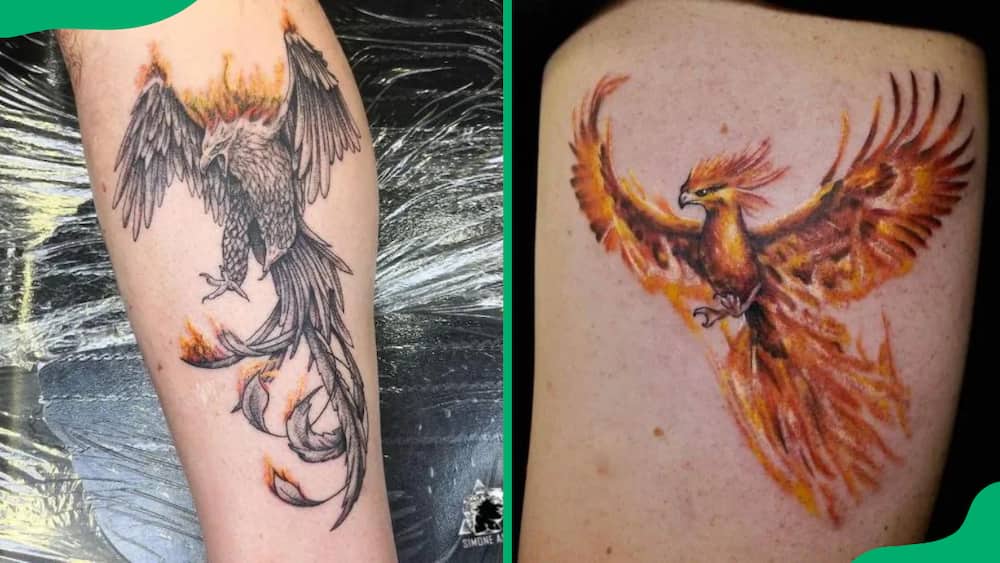 Fiery phoenix tattoos