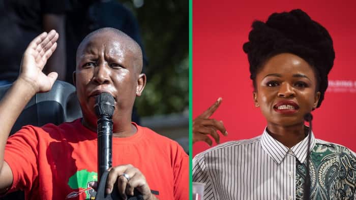 Julius Malema responds to Naledi Chirwa’s discipline and reiterates EFF’s support for women