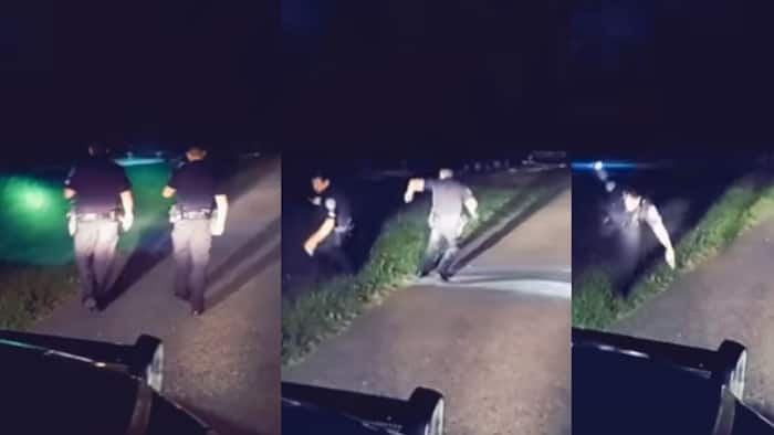 "Hilarious": The net reacts to cops fleeing from noise in a graveyard