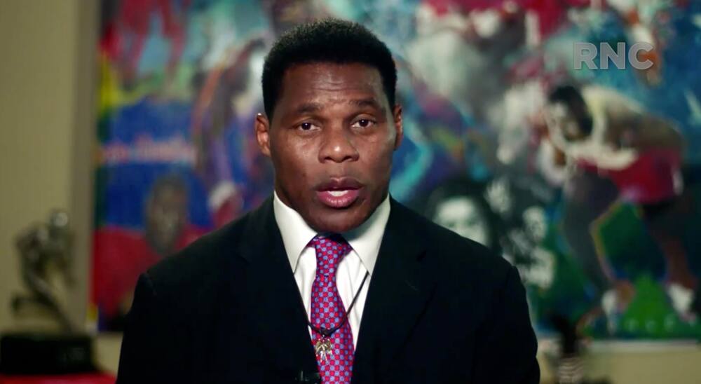 Former Vikings back Herschel Walker: I should be in Hall – Twin Cities