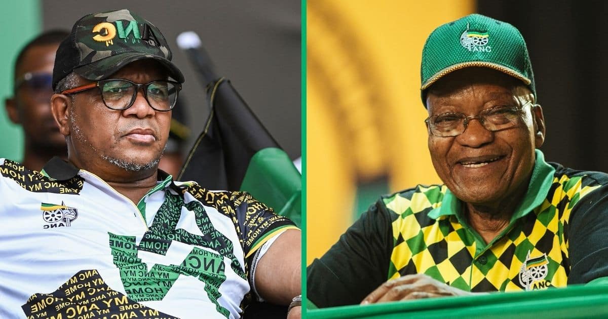“They're scared of expelling him": Netizen on the ANC's indecisiveness in dealing with Jacob Zuma