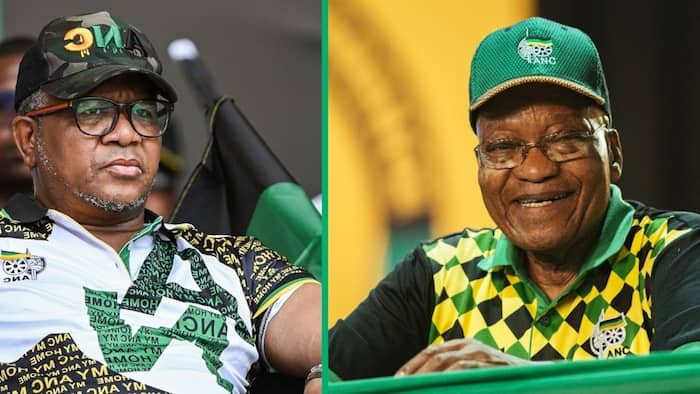 The ANC lacks the bravery to expel Jacob Zuma: Political Analyst