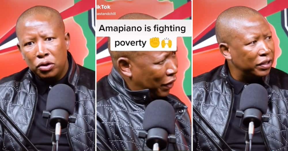 Julius Malema gives ups to amapiano music combating poverty