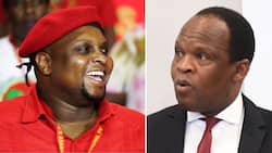 Floyd Shivambu hints Arthur Fraser has more intel, shares clip of lawyer addressing State Capture Inquiry