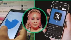 Boity Thulo's Twitter logo discussion leaves Elon Musk under comical spotlight