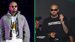 Chris Brown makes fun of TD Jakes's viral video, fans weigh in: "Lol, Chris Breather is a nuisance"