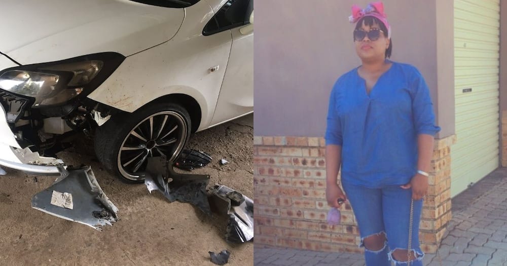 Dog eats car, lady shares post, Mzansi reacts