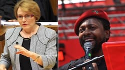 Mbuyiseni Ndlozi praises Parliament fire, called out by Helen Zille for not helping to problem solve