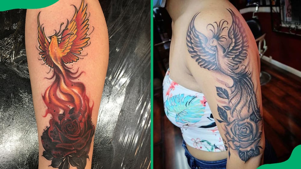 Phoenix rose tattoos