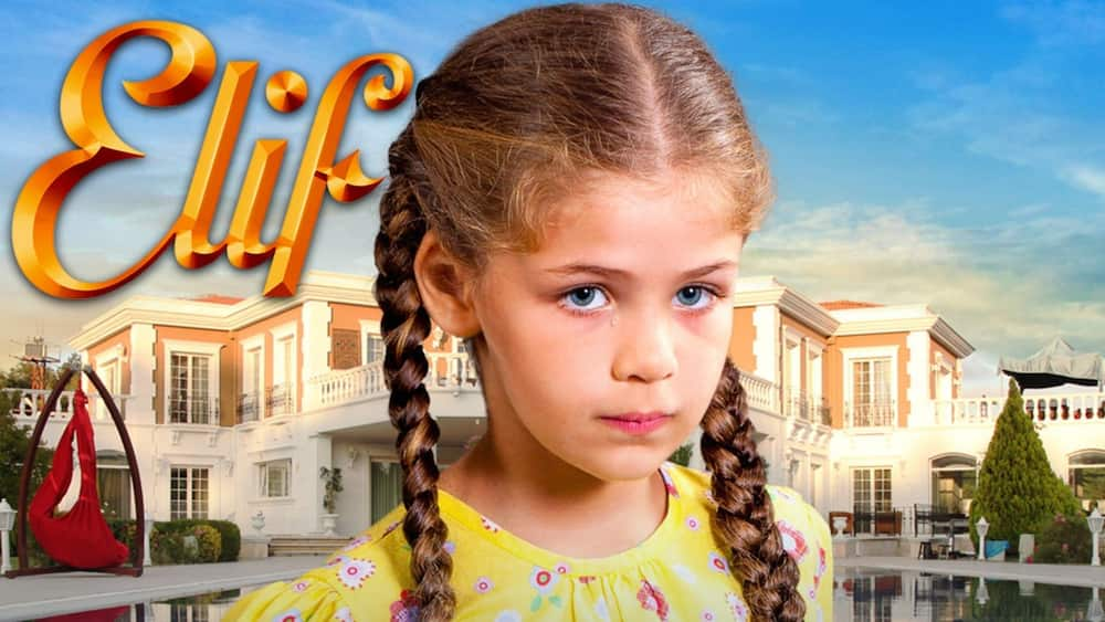 Elif netflix