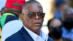 Ace Magashule says he did not steal money from state coffers, SA in disbelief: "Not a cent but millions"