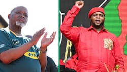 Mzansi laughs at Mantashe's claims that EFF’s Shivambu as finance minister is a ‘formula for looting’