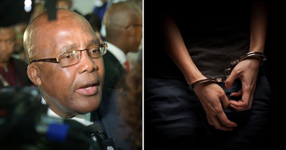 Home Affairs Minister, Aaron Motsoaledi, crack down, illegal foreign nationals, viral video