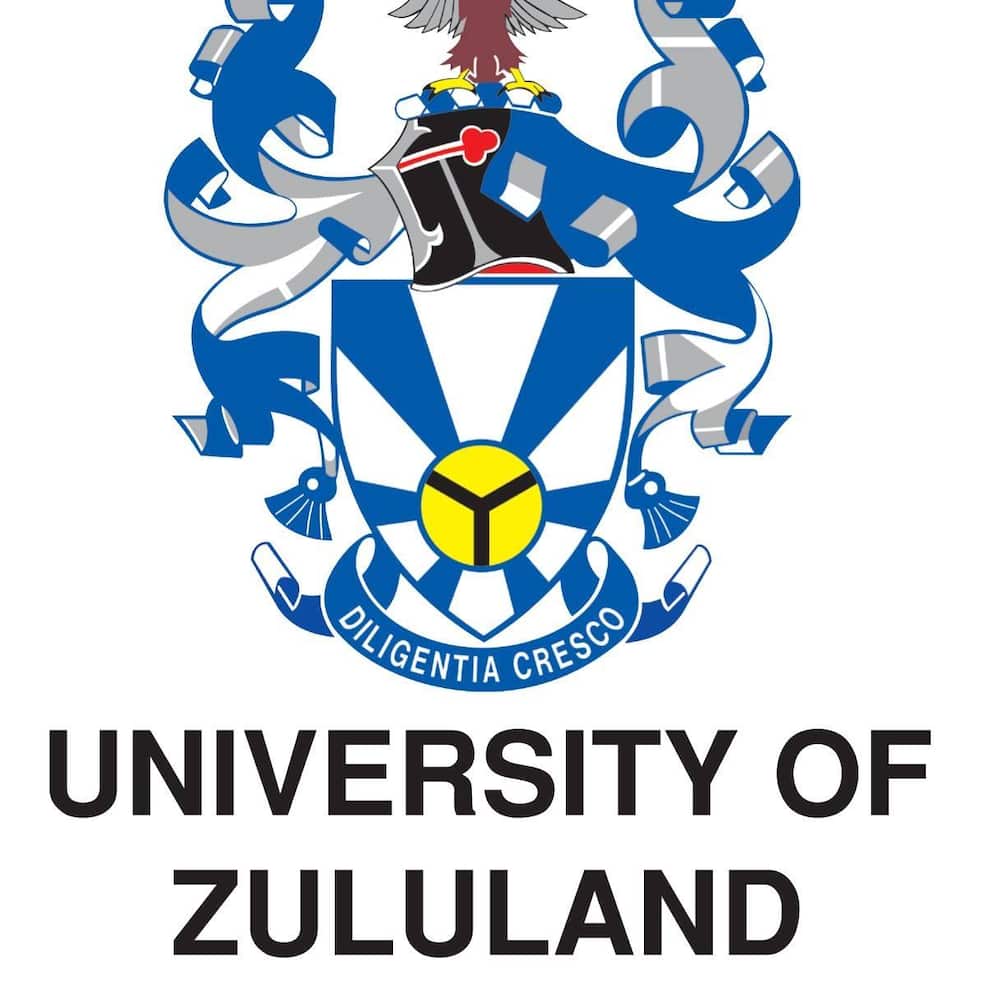Registered colleges in Durban