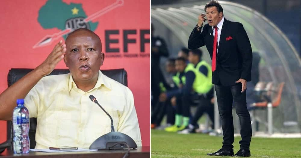 EFF have Lambasted Chippa United chairman Siviwe Mpengesi for hiring Luc Eymael. Image: Twitter