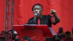 EFF rejects nil compensation concept on 18th Amendment Bill proposal, votes against the ANC