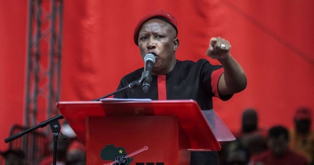 Julius Malema, EFF, land expropriation, land reform, 18th Amendment Bill