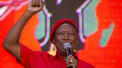 Youth Day: Julius Malema says unemployed graduates should get R1 000 stipend, SA divided