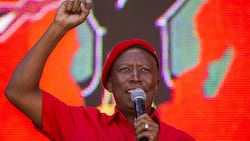 Youth Day: Julius Malema says unemployed graduates should get R1 000 stipend, SA divided