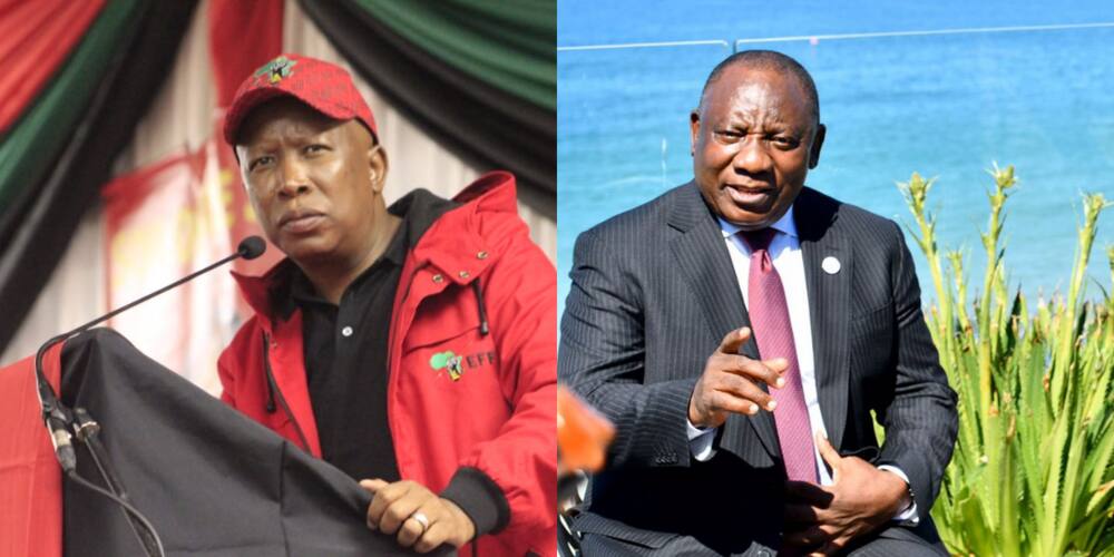 Julius Malema Takes A Nasty Swipe At Cyril Ramaphosa “he Is Killing Us” Za