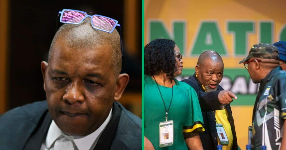 ANC Vs MK Party: Advocate Dali Mpofu Slams African National Congress ...