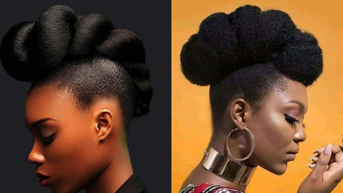 Best protective hairstyles recommended to black women with natural hair -  CurlsQueen