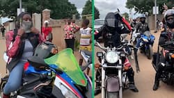 Pretoria women on superbikes in TikTok video impress SA viewers: "Charming beyond words"