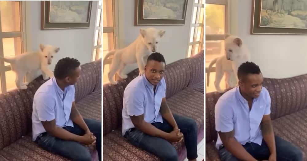 Video, Duduzane Zuma, Lion Cub, Mzansi