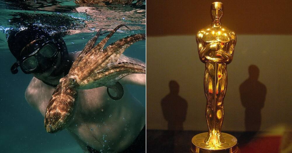 Oscars 2021: SA documentary 'My Octopus Teacher' wins award