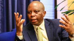 ActionSA leader Herman Mashaba says illegal immigration should be addressed by local government