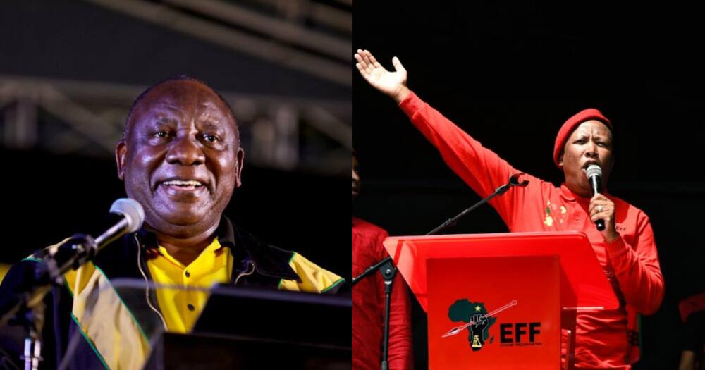 Malema, Ramaphosa, EFF, ANC, elections