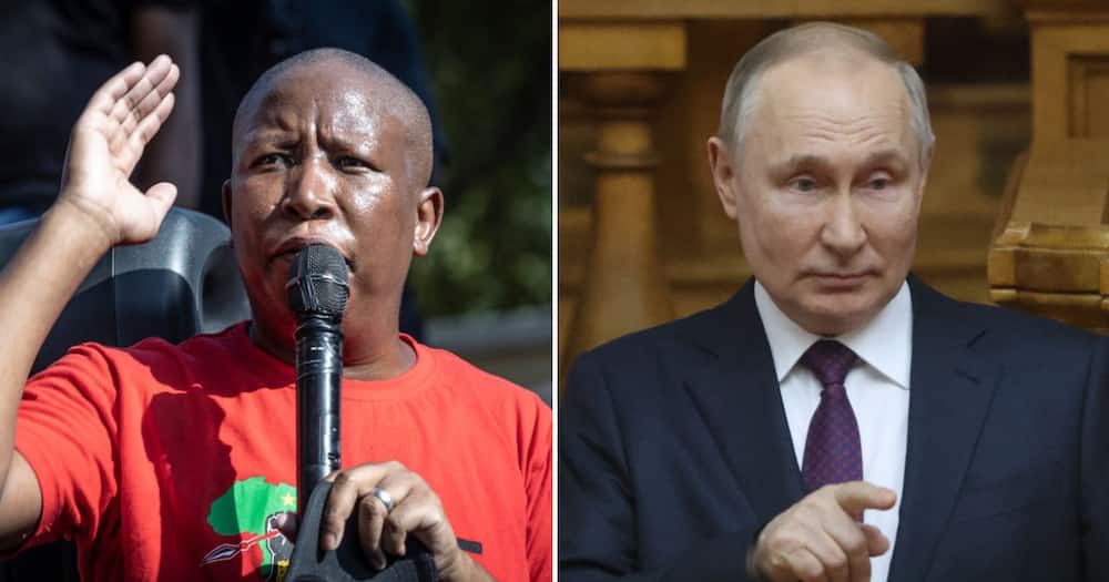 Julius Malema has dismissed the US embassy in South Africa's allegations of a secret Russia-SA arms deal