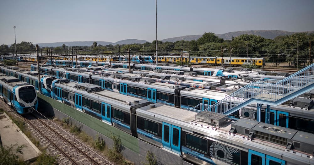 Prasa's Multimillion Plan. Minister of Trasport Fikile Mbalula, Zolani Matthews Prasa CEO