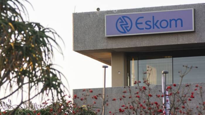 Eskom loses workforce, mass resignations cause concern for power utility, exec says