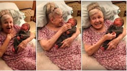 Emotional moment as grandma, 90, meets her great-granddaughter for the 1st time: "I'm in heaven"