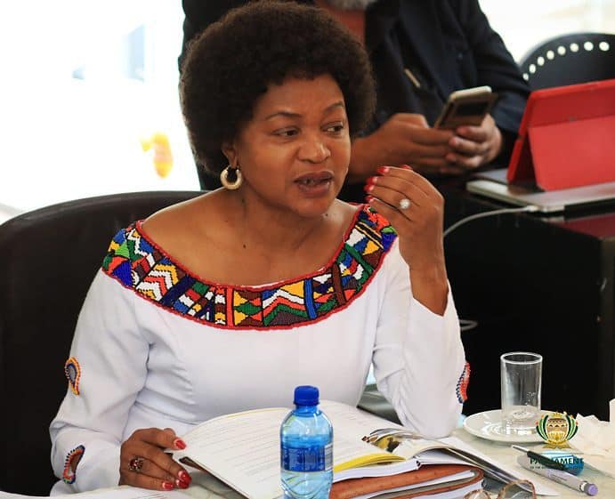 Baleka Mbete biography: age, daughter, husband, wedding ...