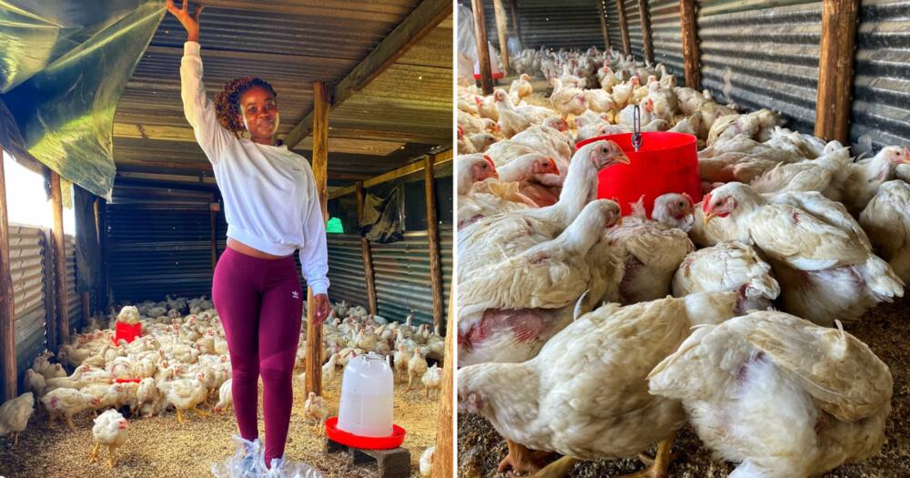 The SA actress started a chicken farm
