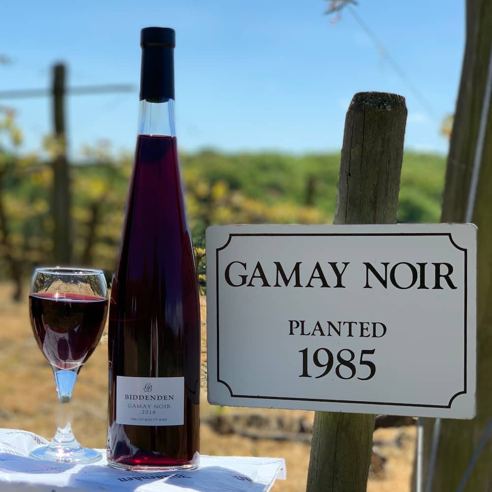Gamay French red wine