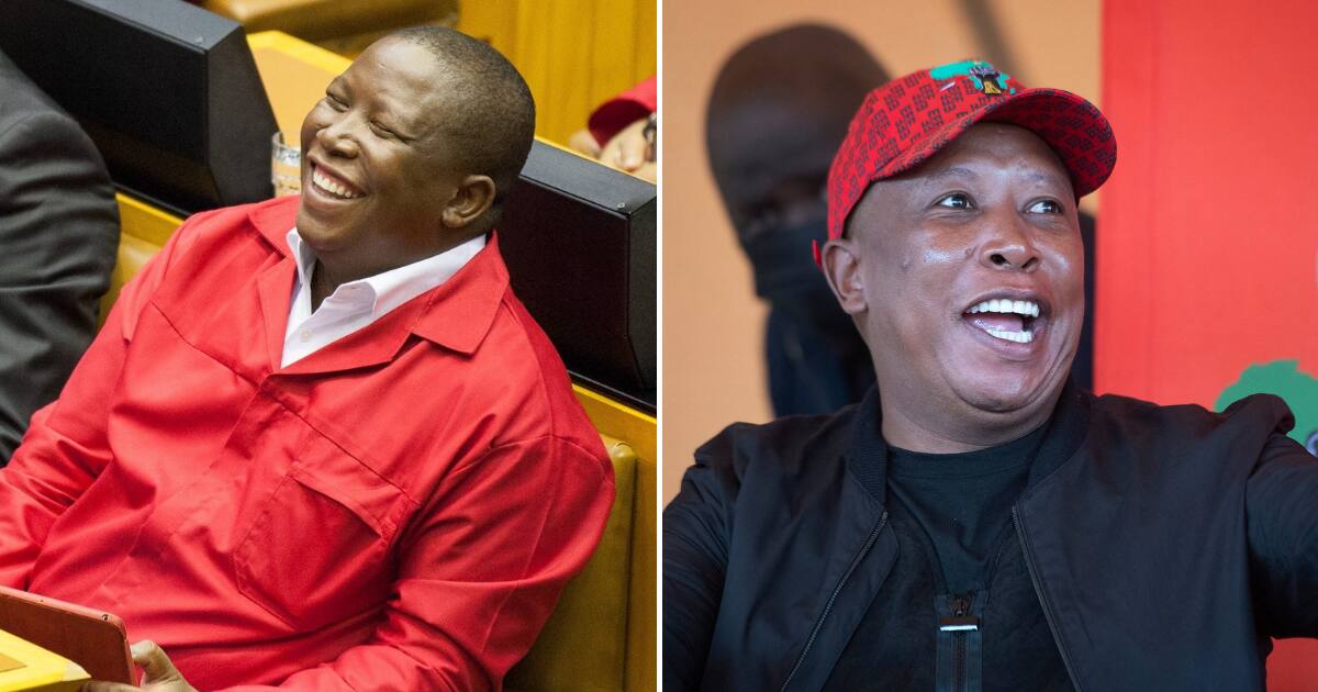 Kiss The Boer And Zupta Must Fall Eff Leader Julius Malema S Most Viral Moments Za